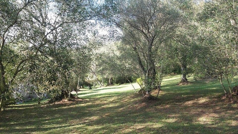 Karamali Green Danilia Villas Gouvia Dış mekan fotoğraf